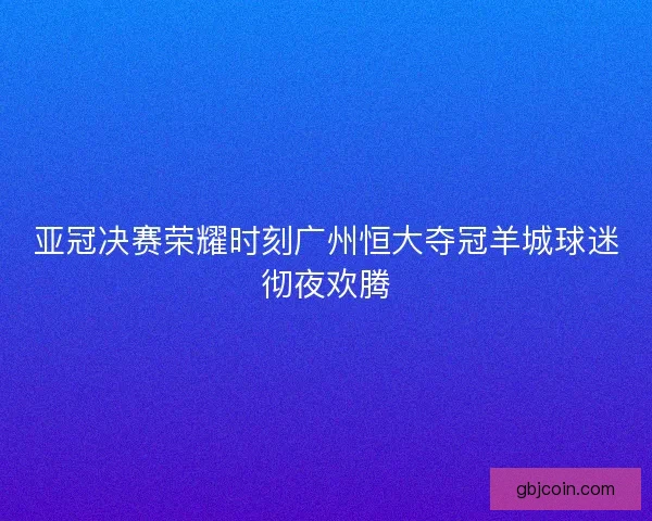 亚冠决赛荣耀时刻广州恒大夺冠羊城球迷彻夜欢腾